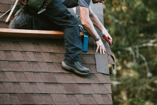 Best Roof Gutter Cleaning  in Volcano Golf Course, HI